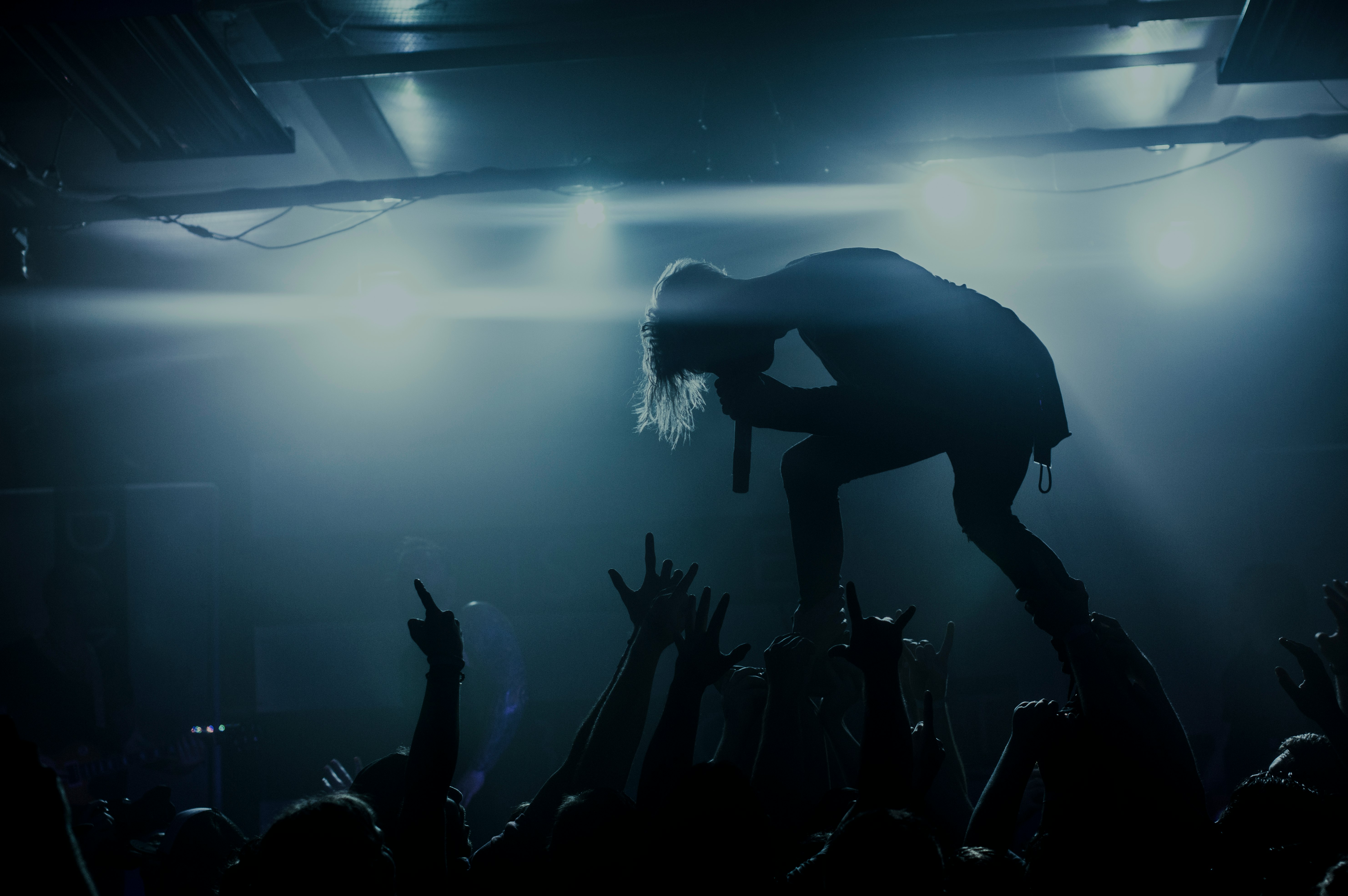 silhouette of people in a concert